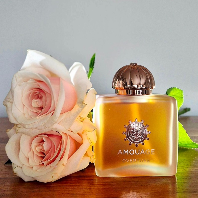 Парфюм AMOUAGE Luxury для женщ – обзор и цена The Collection Perfume Fragrance